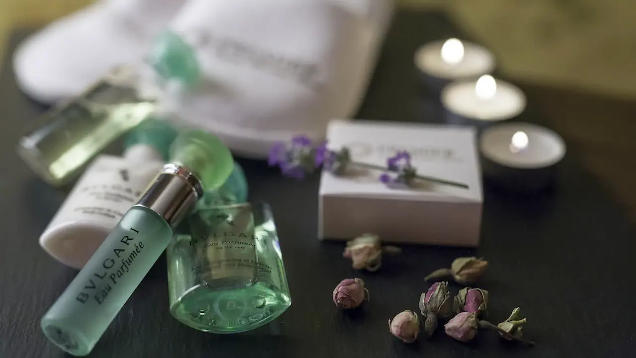 الفندق بريميير لوكشري ماونتن - بانسكو